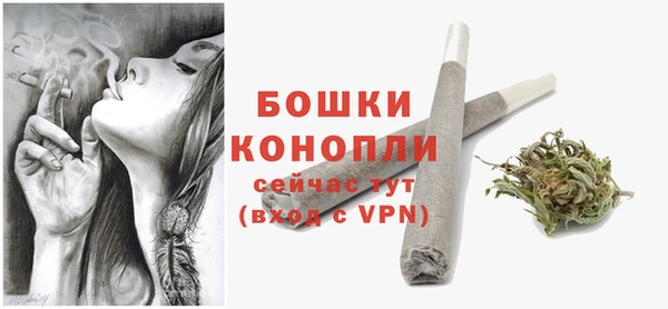 сатива Богородицк