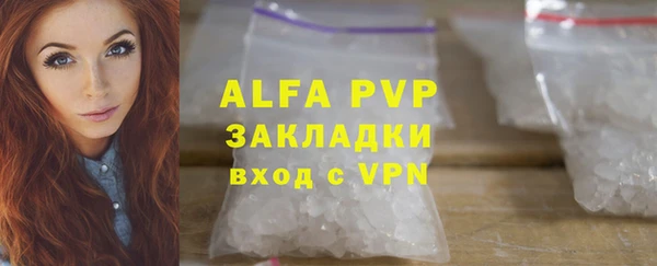 прущие грибы Богородск