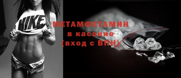 прущие грибы Богородск