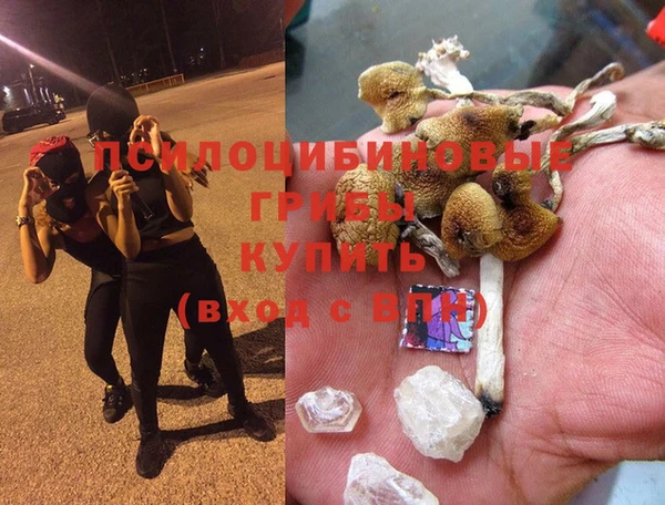 трава Богданович