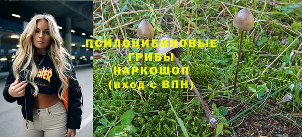 трава Богданович