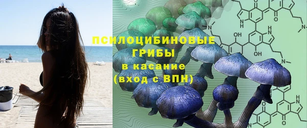трава Богданович