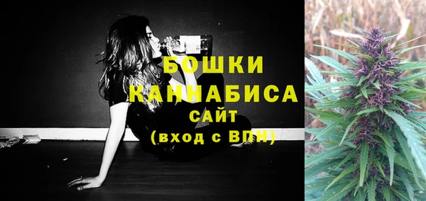 сатива Богородицк