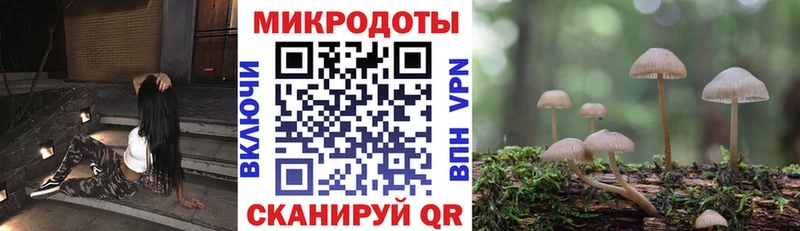 это клад Гатчина Псилоцибиновые грибы Magic Shrooms