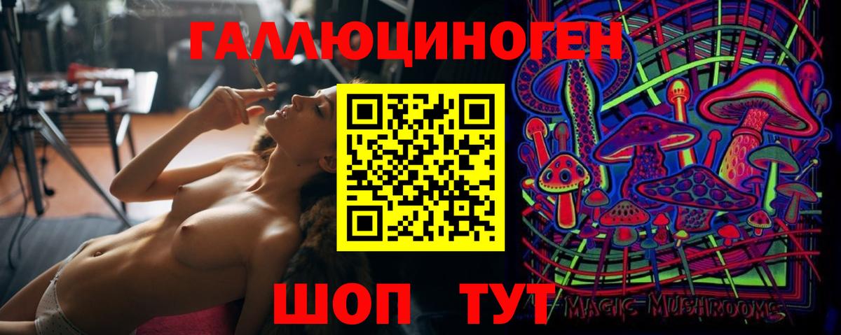 Псилоцибиновые грибы ЛСД  Вход с VPN  Псилоцибиновые грибы мухоморы  Гатчина 