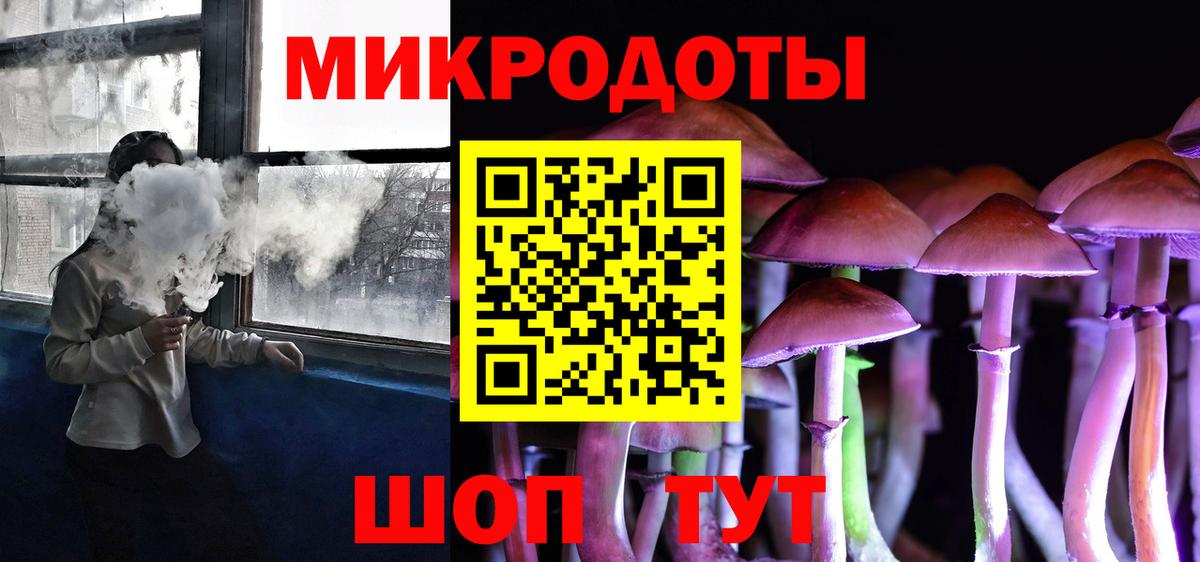 Псилоцибиновые грибы Psilocybine cubensis Гатчина
