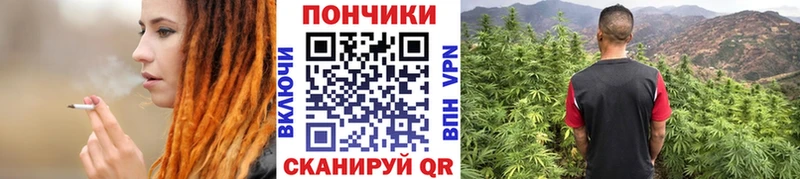 продажа наркотиков  Гатчина  Бошки Шишки гибрид 