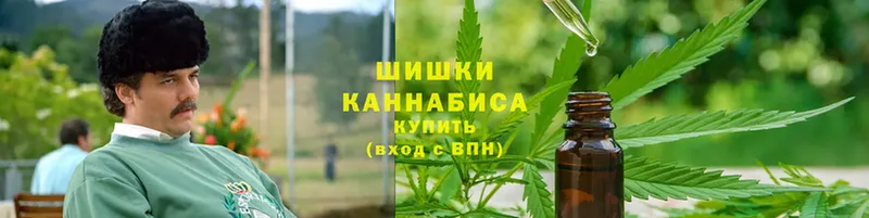 Конопля THC 21%  купить наркотики сайты  Гатчина 