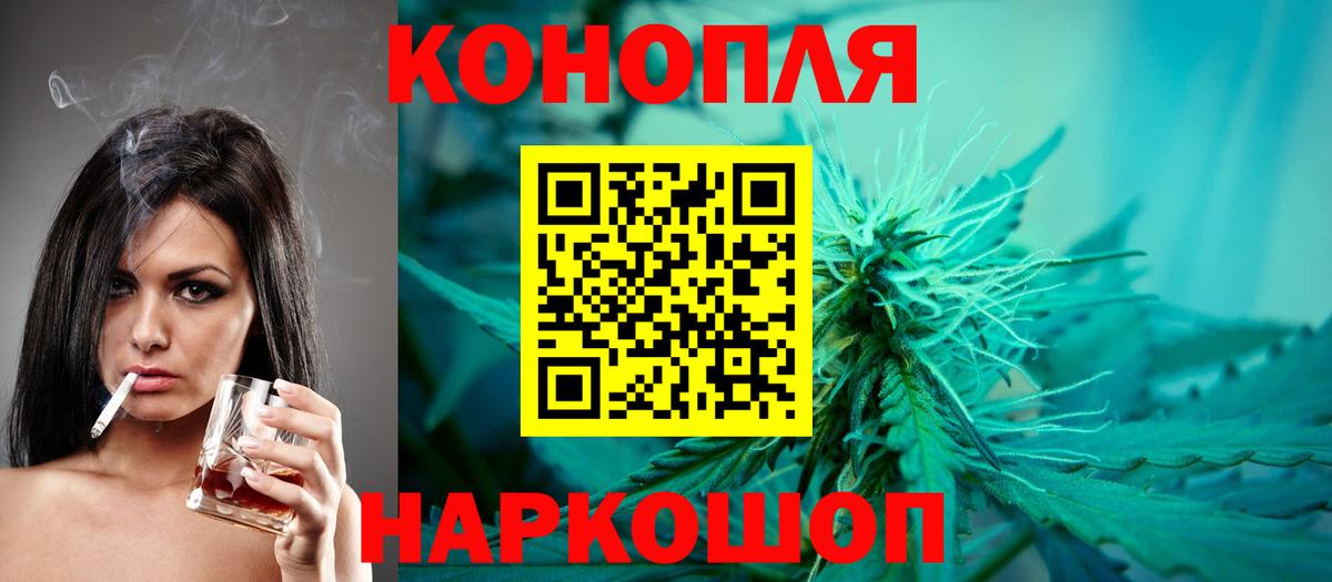 Бошки Шишки MAZAR Гатчина